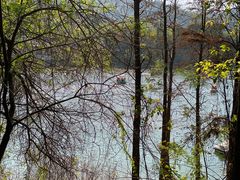 -水濂山森林公园