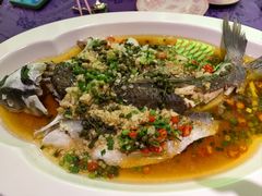 -惠食佳·朱雀(东方商厦店)