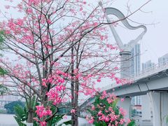 -厦门园林博览苑