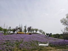 -歌斐颂巧克力小镇