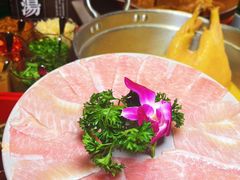 特选雪花猪肉片-禄婶鸡煲·打边炉
