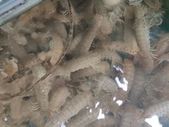 -聚德福海鲜家常菜(刘庄店)