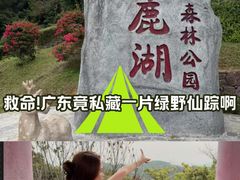 -天鹿湖森林公园