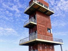 -春花秋色城市公园