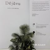 🌿跨界艺术展｜ALICEYU ✖️王非凡联名系列
