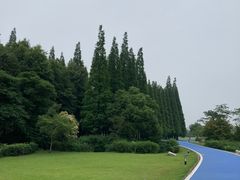 -宜兴龙背山森林公园