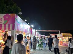 -海心沙亚运公园