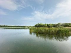 -溱湖国家湿地公园