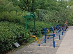 -玲珑塔公园