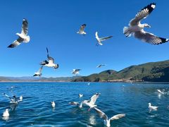 -丽江泸沽湖景区