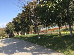 上海鲜花港-上海鲜花港