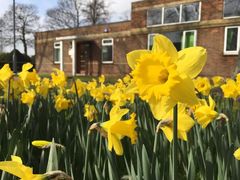 -上海滴水湖皇冠假日酒店