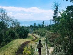 -云南驿景区-茶马古道景点