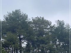 -綦江古剑山