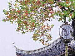 -老门东历史文化街区