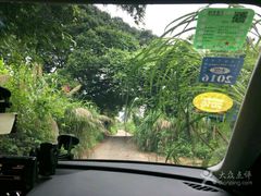 -坝光海滩