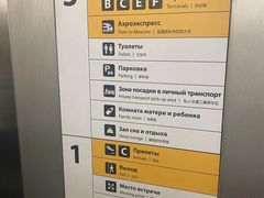 -谢列梅捷沃国际机场