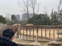 -南昌动物园