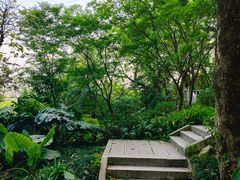 -乌山风景区