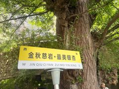 -大慈岩风景区