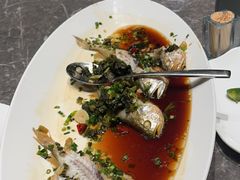 -同庆楼(滨湖万达广场店)