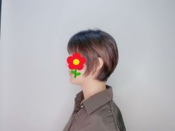 -藤野造型