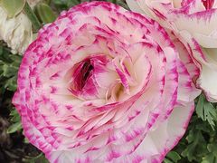 -同济大学(嘉定校区)