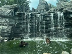 -北京野生动物园