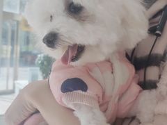 -北京恒爱动物医院(清景园分院)