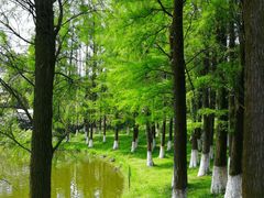 -珠海圆明新园