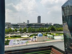-羲和雅苑•北京烤鸭(乐园道万象城店)