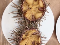 -海胆小馆(东北水饺·春柳店)