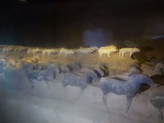 -汉景帝阳陵博物院