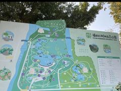 -福田红树林生态公园
