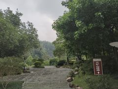 -火炉山森林公园