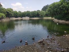 -石家庄市动物园