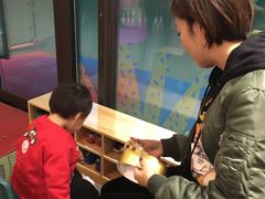 -黄浦乐烁龙鱼宝贝托育园(海潮路校区)