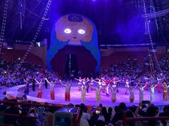 -俄罗斯国家大马戏团