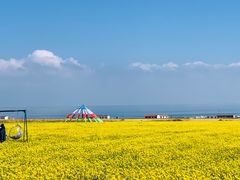 -青海湖国家重点风景名胜区