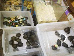 -双季花艺园艺市场(浦东店)