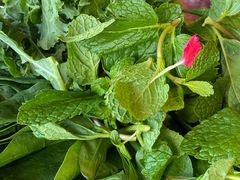 -慢丽江·云南野生菌土鸡锅(付家庄店)