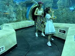 -芜湖新华联大白鲸海洋公园