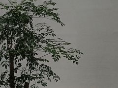 -上海当代艺术博物馆