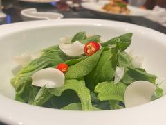 冰菜-芙蓉堂(武汉天地店)