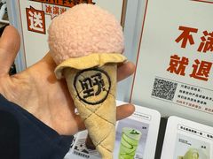 -野人先生现做冰淇淋(北京顺义祥云小镇店)