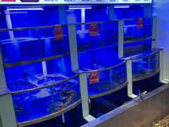 -七欣天香辣蟹火锅(上海安亭新源路店)