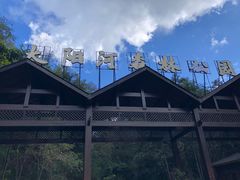 -普洱太阳河森林公园