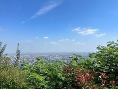 -杭州半山国家森林公园