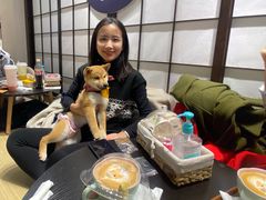 -逗柴咖啡屋·狗咖猫咖宠物桌游