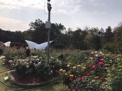 -人民公园(罗湖区)